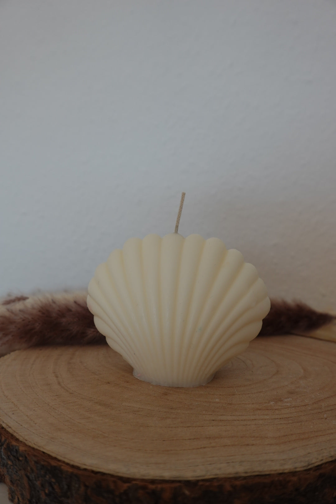 Muschel Kerze🐚