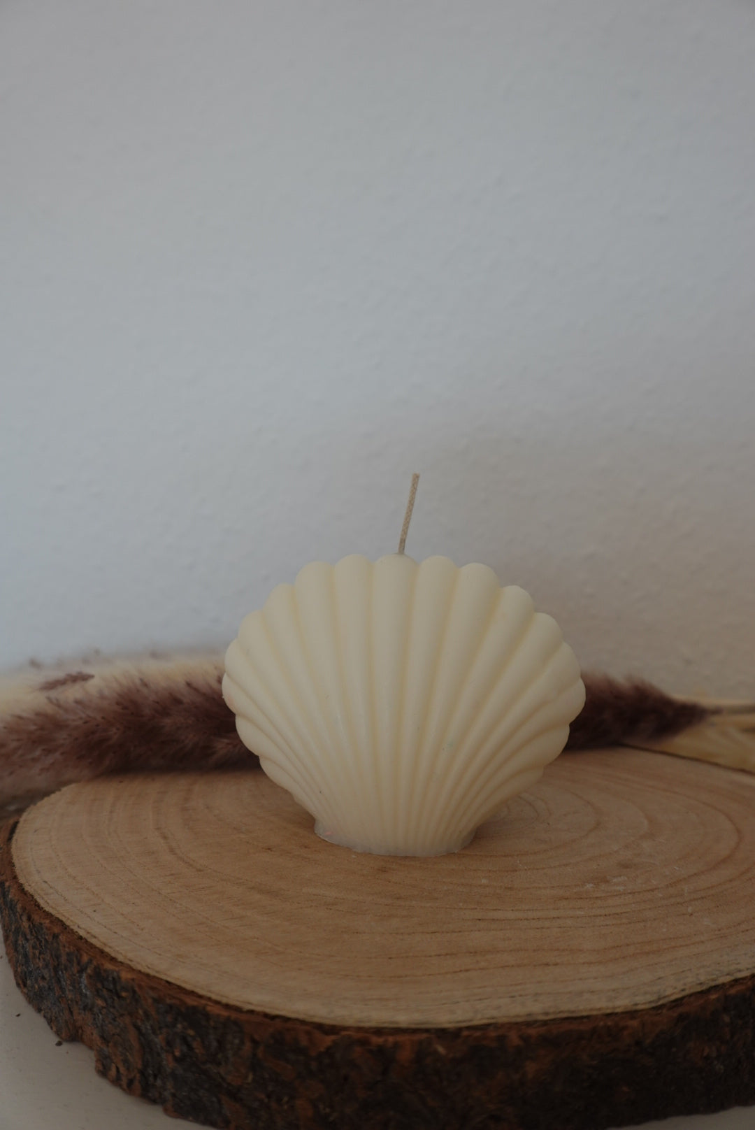 Muschel Kerze🐚