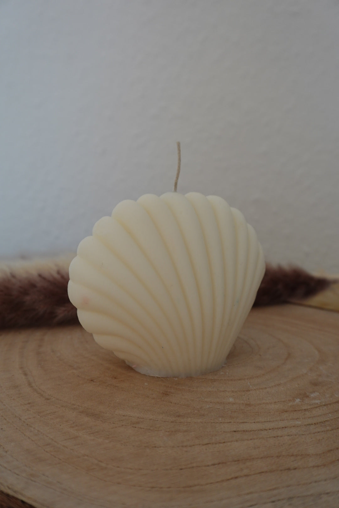 Muschel Kerze🐚