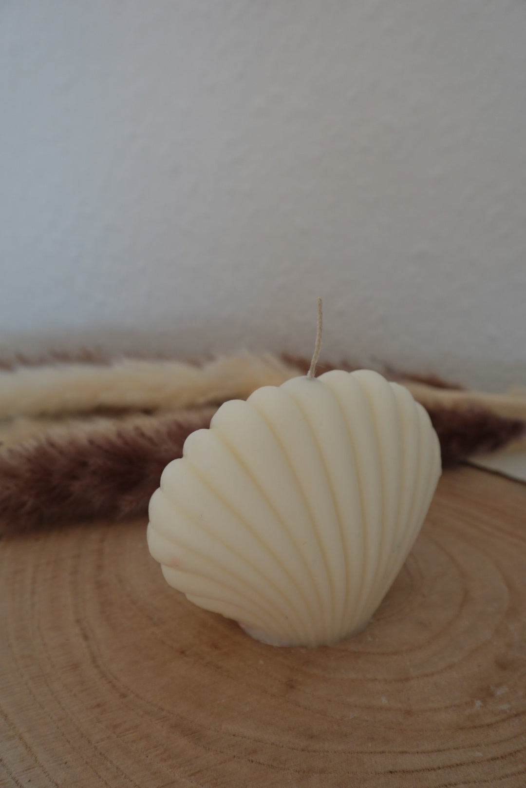 Muschel Kerze🐚
