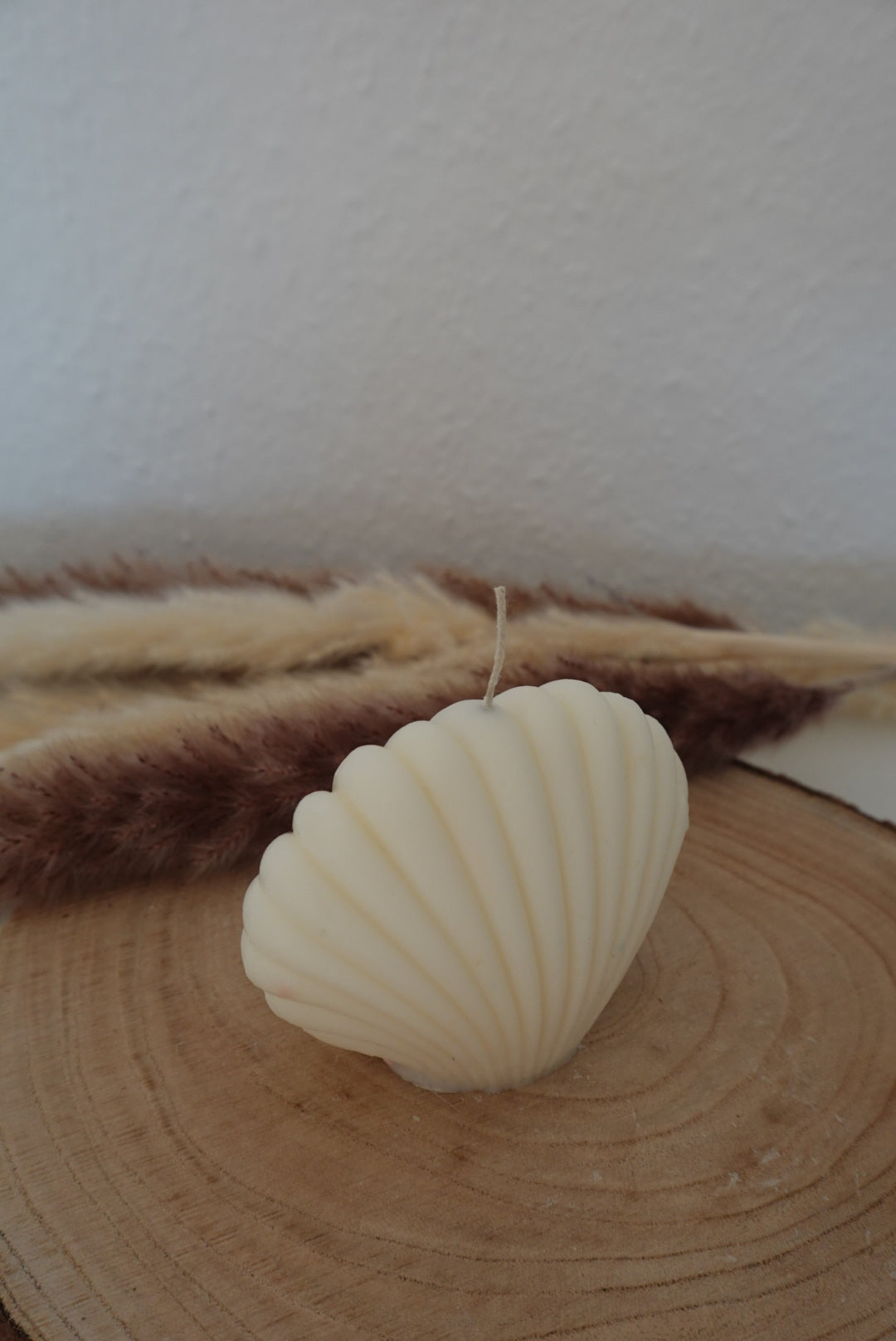 Muschel Kerze🐚