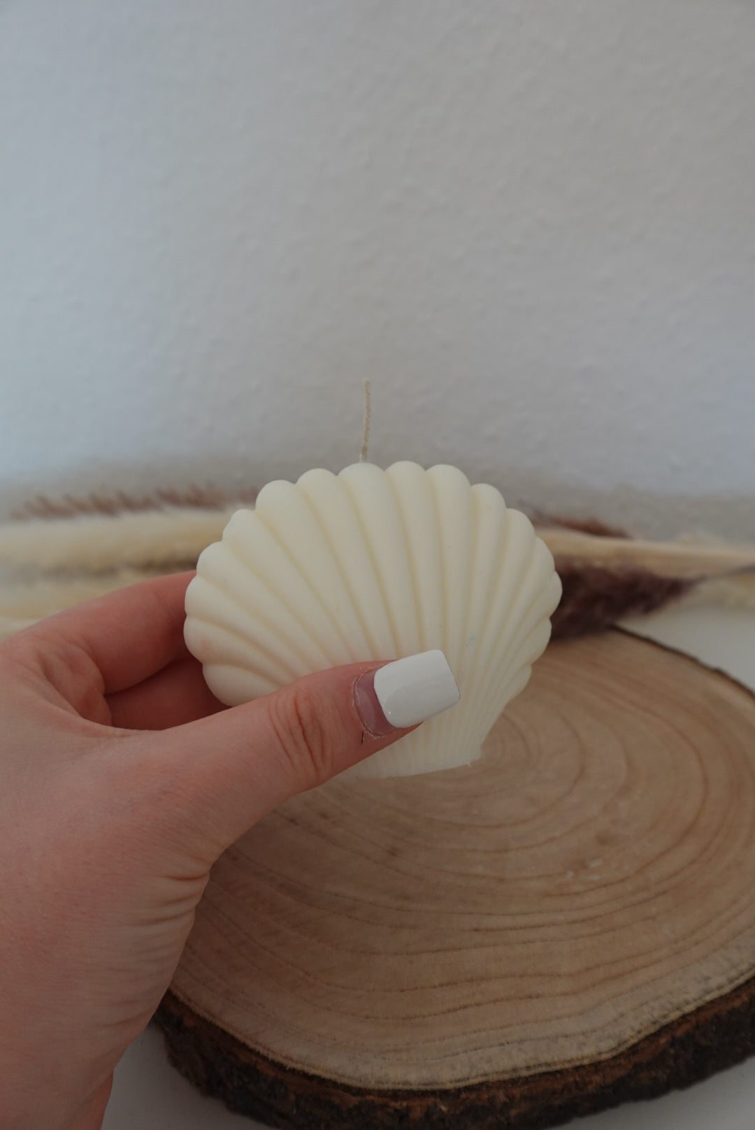 Muschel Kerze🐚