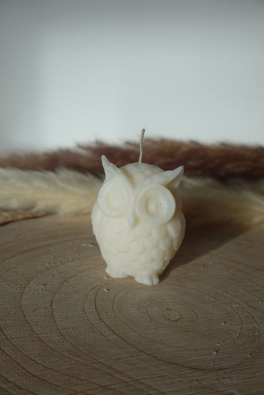 EULE 🦉