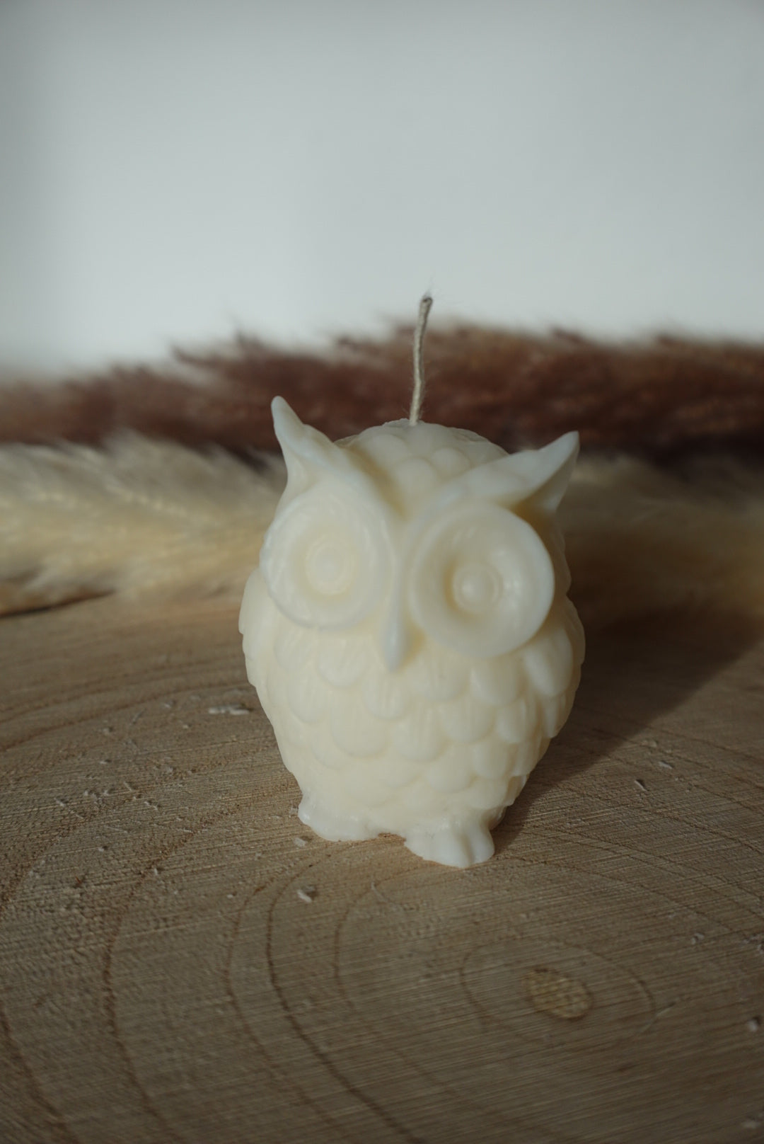 EULE 🦉