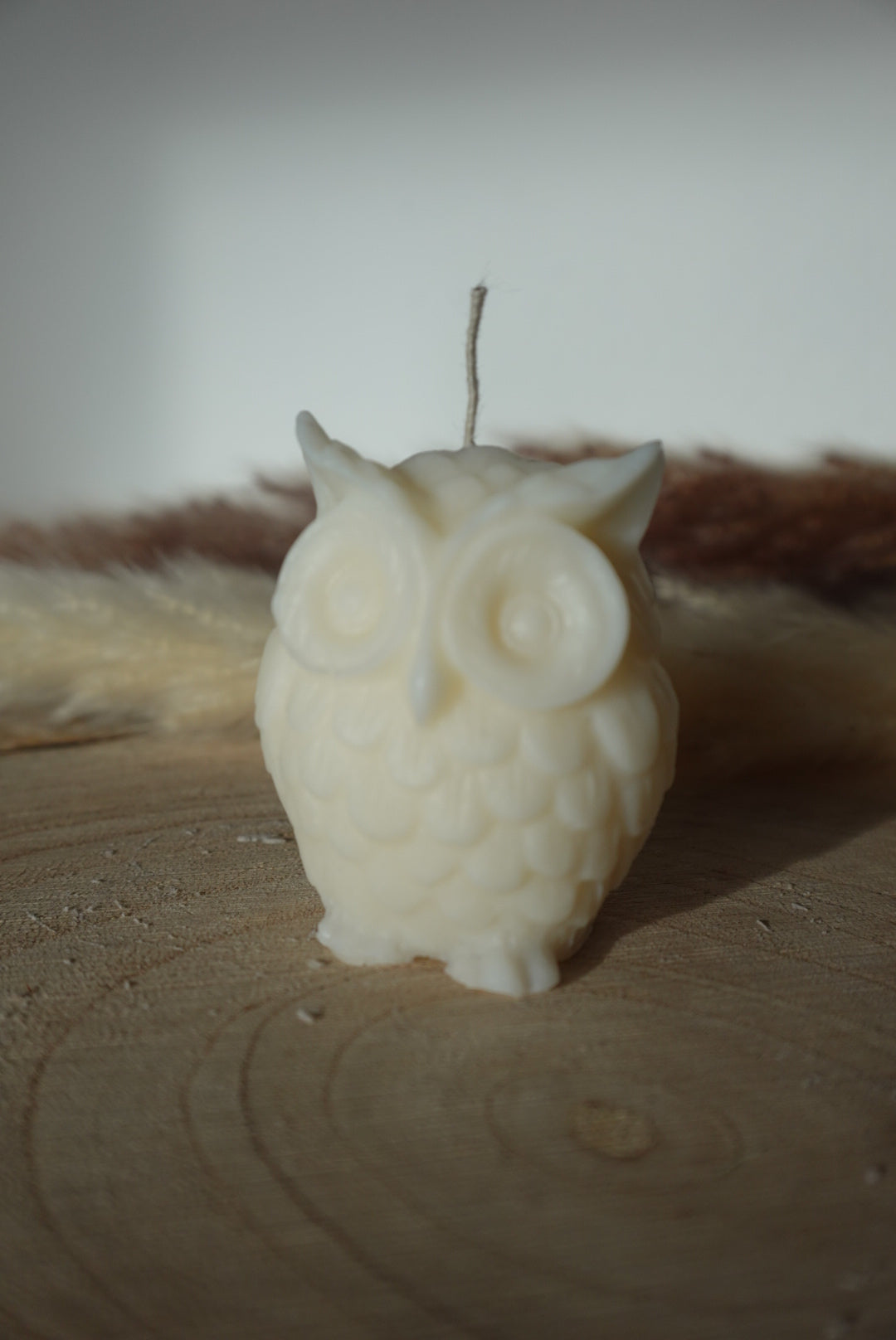 EULE 🦉
