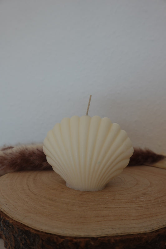 Muschel Kerze🐚